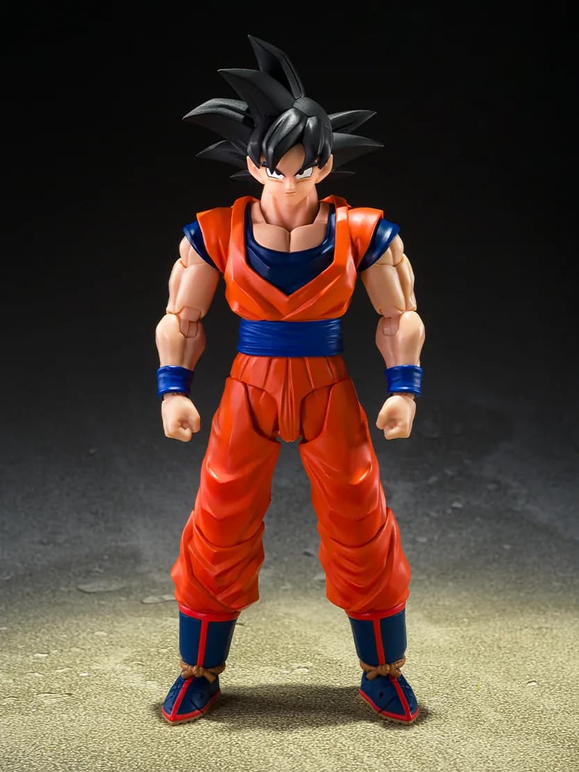 SON GOKU — imagen 1